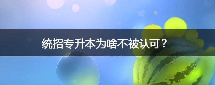 被录取后进入本科阶段皇庭娱乐登录成为