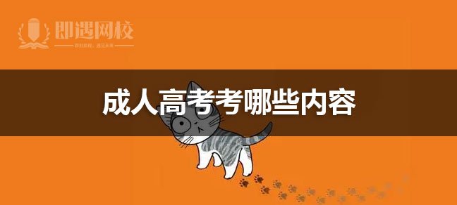外语等基础学科