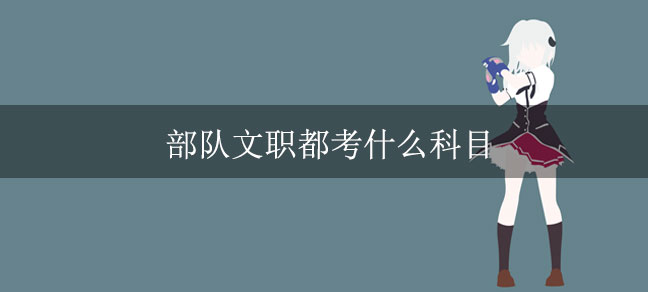 同类内容笔试分为公共科目和专业科目两