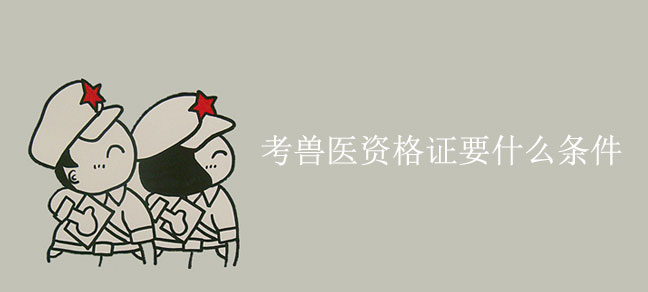 成人考证哪些比较好考又用 适合女孩考